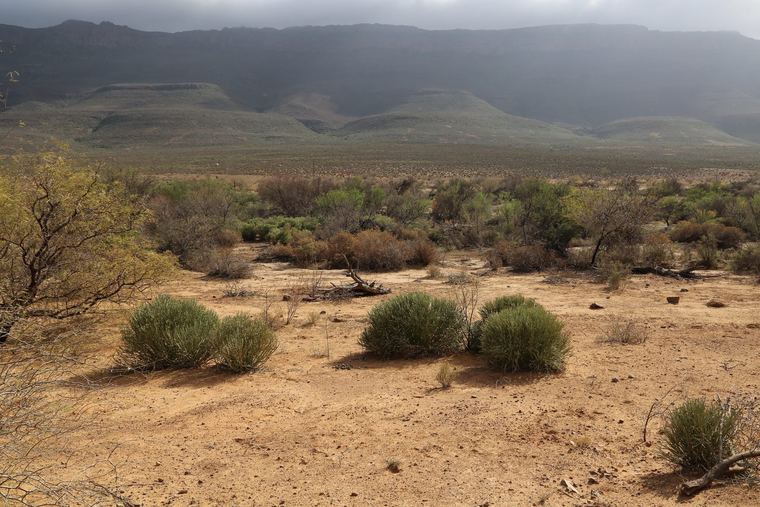 The Cederberg near the Pakhuis Pass