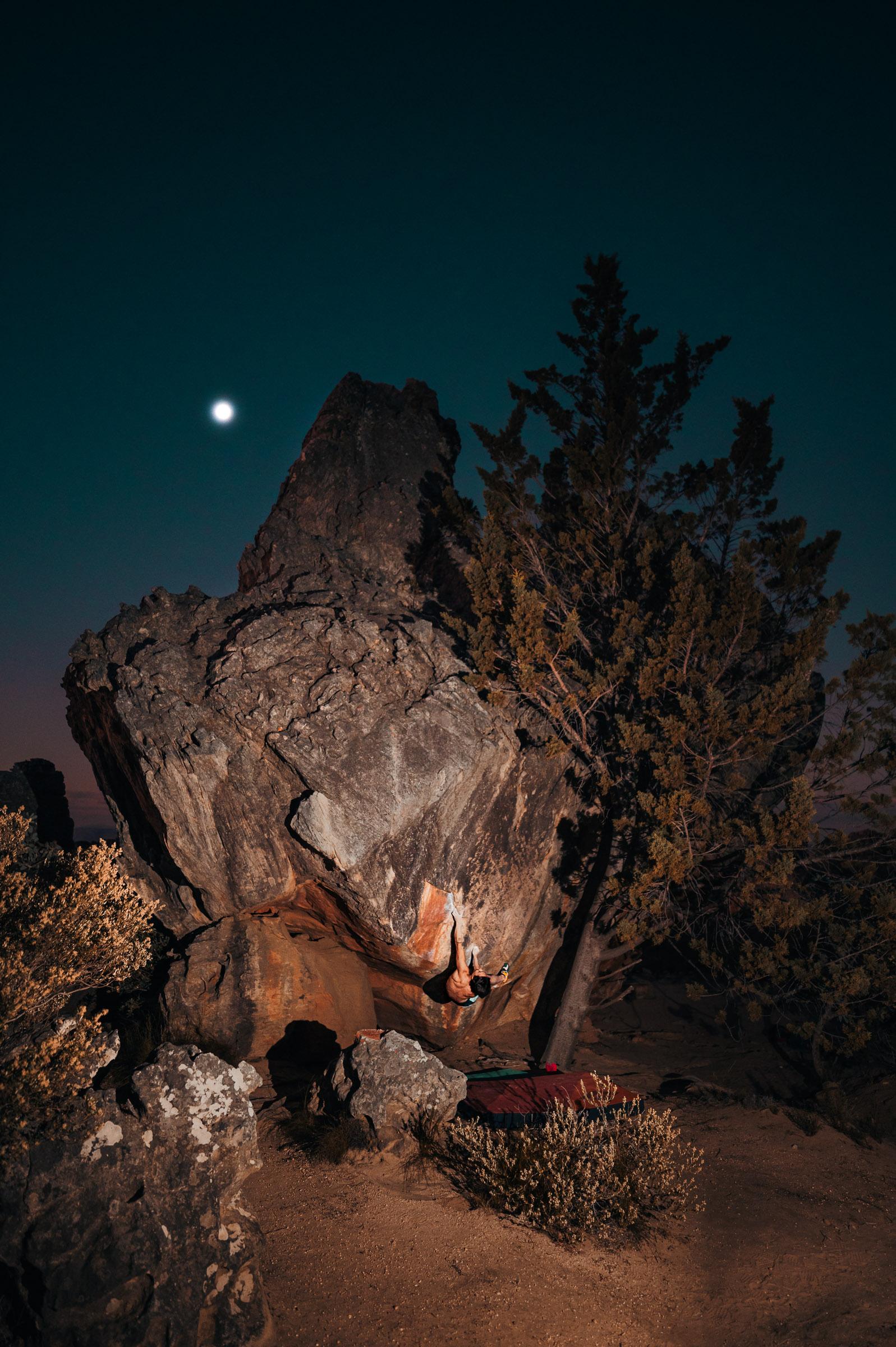 A lit sandstone boulder beside a cedar tree at Rocklands with the moon overhead